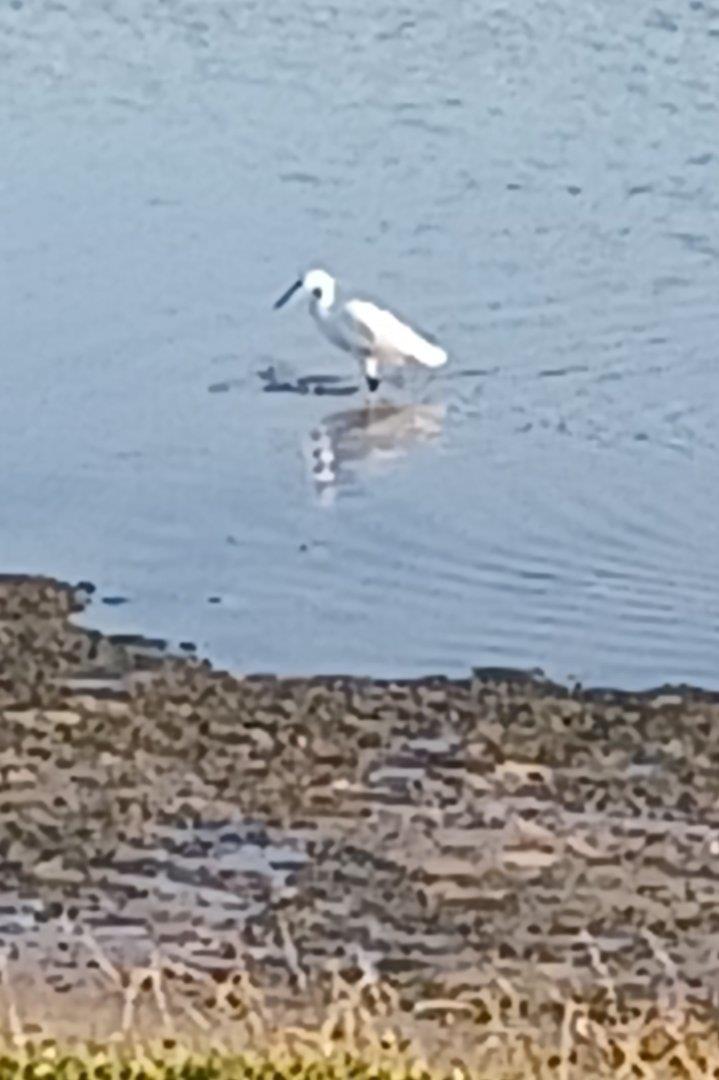 0 Bedroom Property for Sale in Gamtoos Mouth Eastern Cape